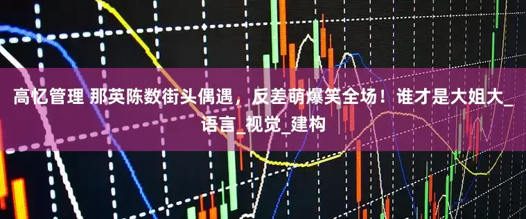 高忆管理 那英陈数街头偶遇，反差萌爆笑全场！谁才是大姐大_语言_视觉_建构