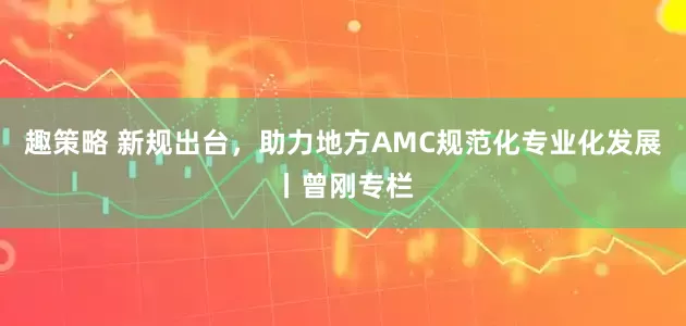 趣策略 新规出台，助力地方AMC规范化专业化发展丨曾刚专栏