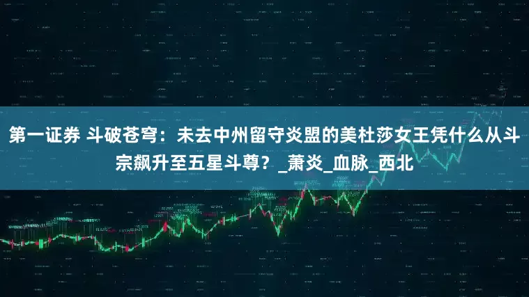 第一证券 斗破苍穹：未去中州留守炎盟的美杜莎女王凭什么从斗宗飙升至五星斗尊？_萧炎_血脉_西北
